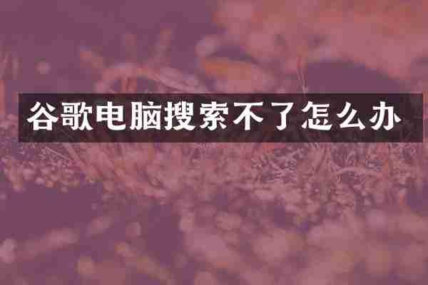 谷歌电脑搜索不了怎么办