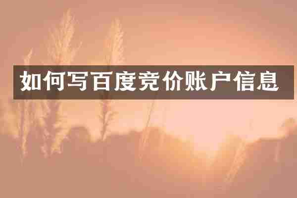 如何写百度竞价账户信息