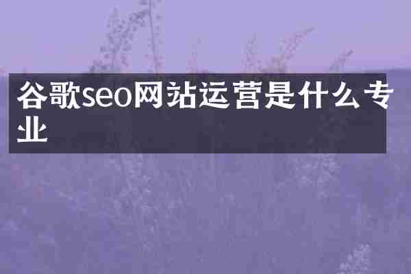 谷歌seo网站运营是什么专业