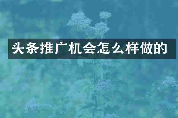 头条推广机会怎么样做的
