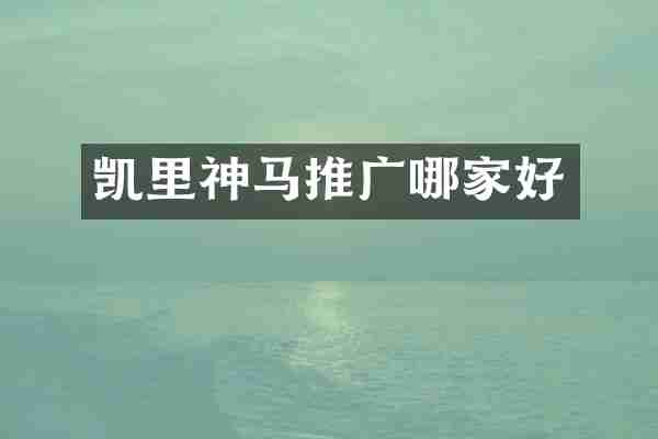 凯里神马推广哪家好