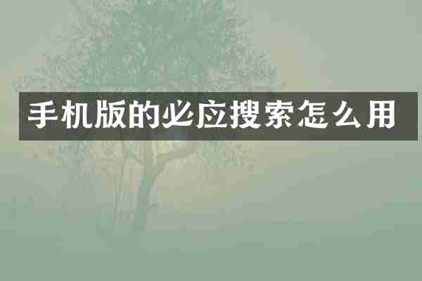 手机版的必应搜索怎么用