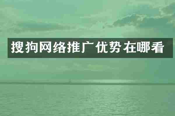 搜狗网络推广优势在哪看
