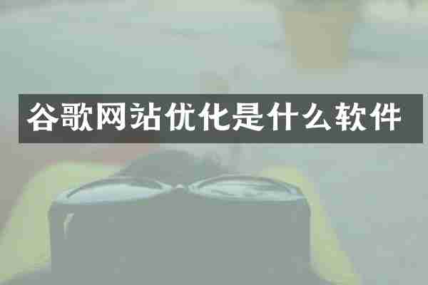 谷歌网站优化是什么软件
