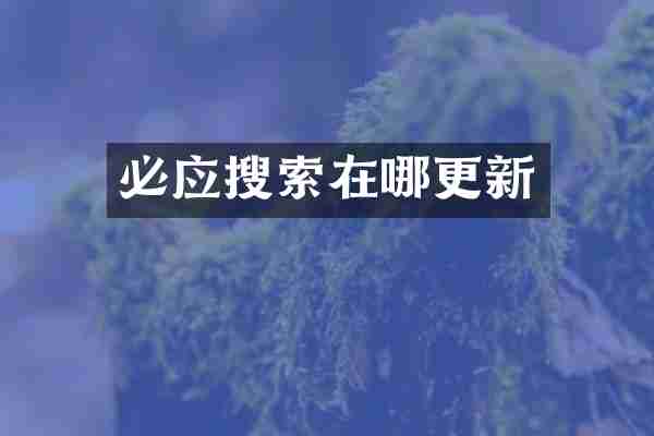 必应搜索在哪更新