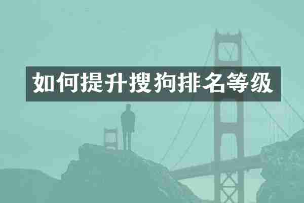 如何提升搜狗排名等级