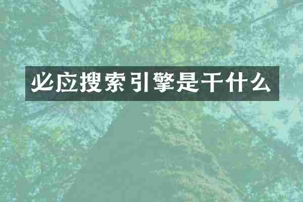 必应搜索引擎是干什么