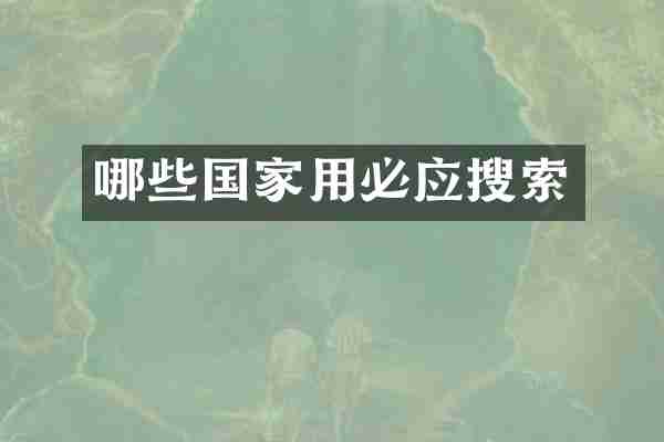 哪些国家用必应搜索