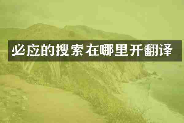 必应的搜索在哪里开翻译