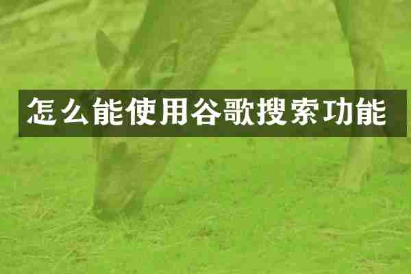 怎么能使用谷歌搜索功能