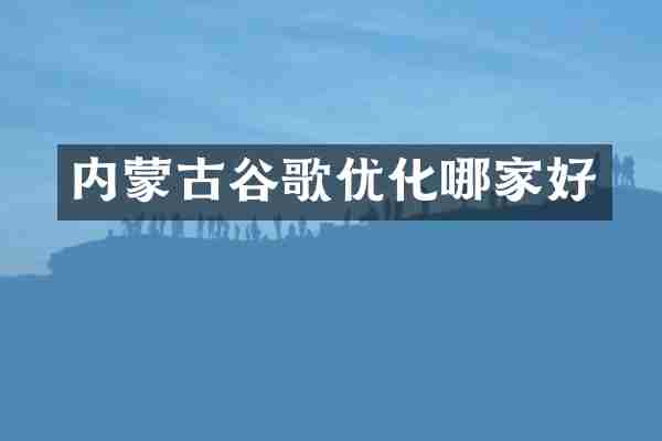 内蒙古谷歌优化哪家好