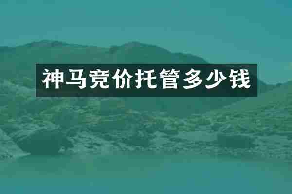神马竞价托管多少钱