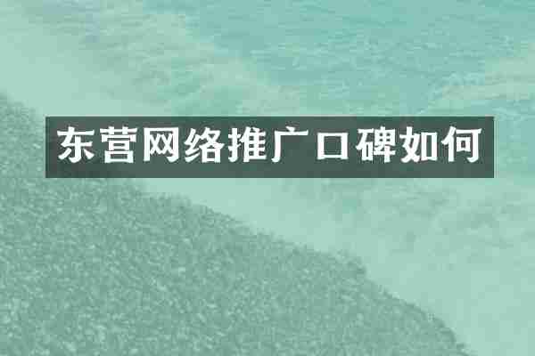 东营网络推广口碑如何