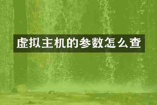 虚拟主机的参数怎么查