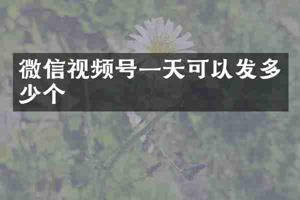 微信视频号一天可以发多少个