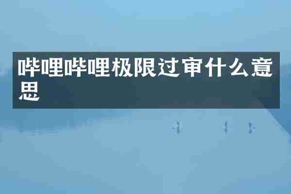 哔哩哔哩极限过审什么意思