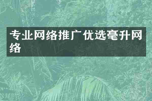 专业网络推广优选毫升网络