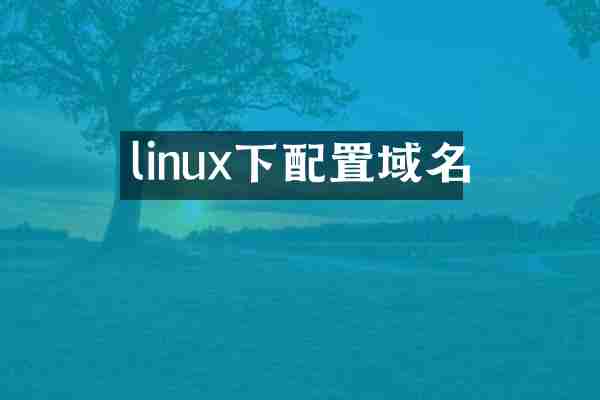 linux下配置域名