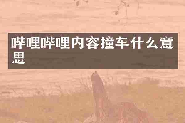 哔哩哔哩内容撞车什么意思