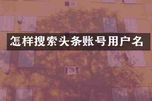 怎样搜索头条账号用户名