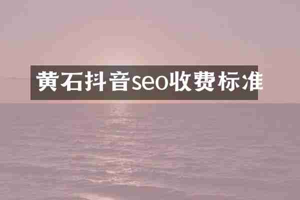 黄石抖音seo收费标准