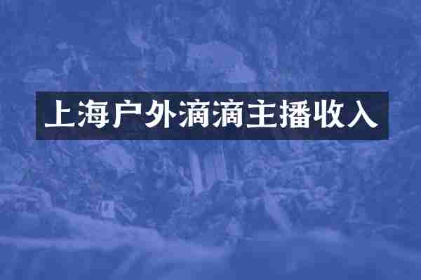 上海户外滴滴主播收入
