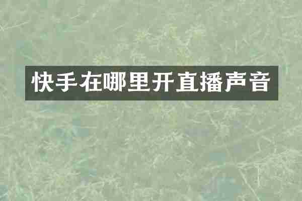 快手在哪里开直播声音
