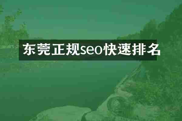 东莞正规seo快速排名