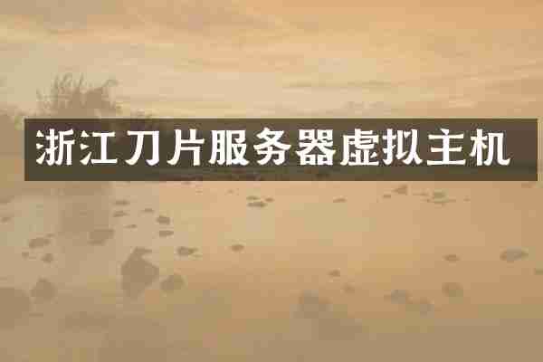 浙江刀片服务器虚拟主机