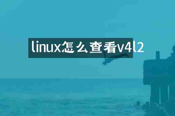 linux怎么查看v4l2