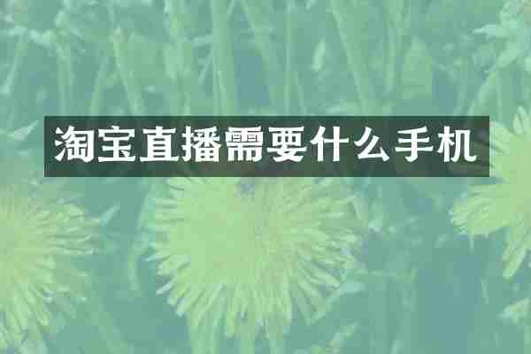 淘宝直播需要什么手机