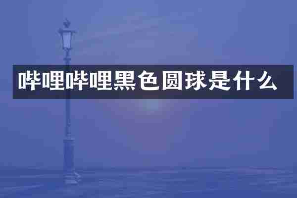 哔哩哔哩黑色圆球是什么