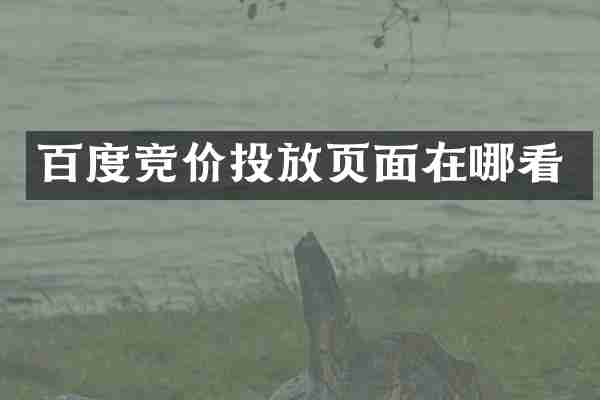 百度竞价投放页面在哪看