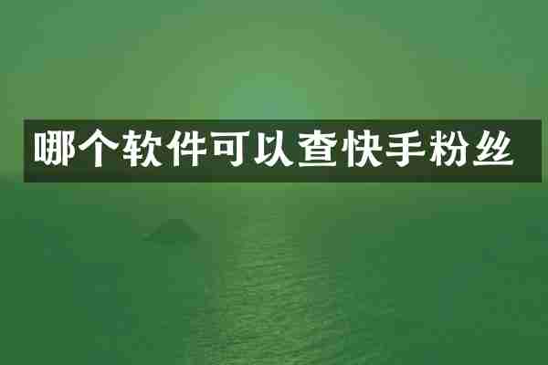 哪个软件可以查快手粉丝