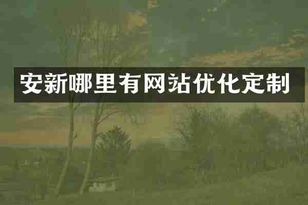 安新哪里有网站优化定制