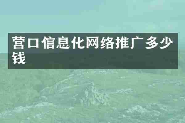 营口信息化网络推广多少钱