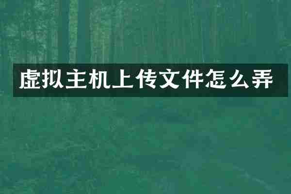 虚拟主机上传文件怎么弄