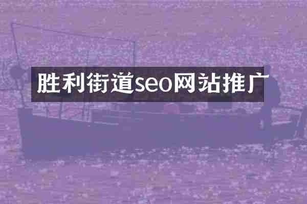 胜利街道seo网站推广