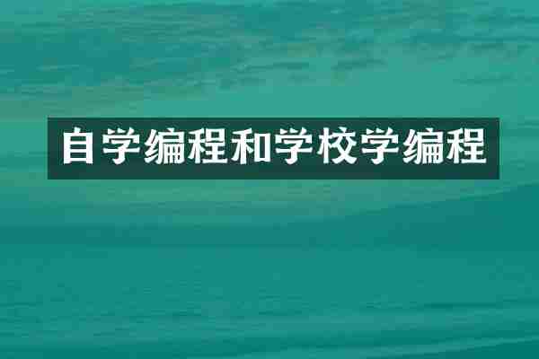 自学编程和学校学编程