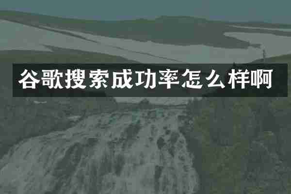 谷歌搜索成功率怎么样啊