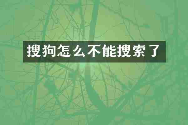 搜狗怎么不能搜索了
