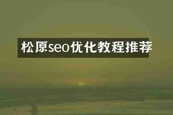 松原seo优化教程推荐