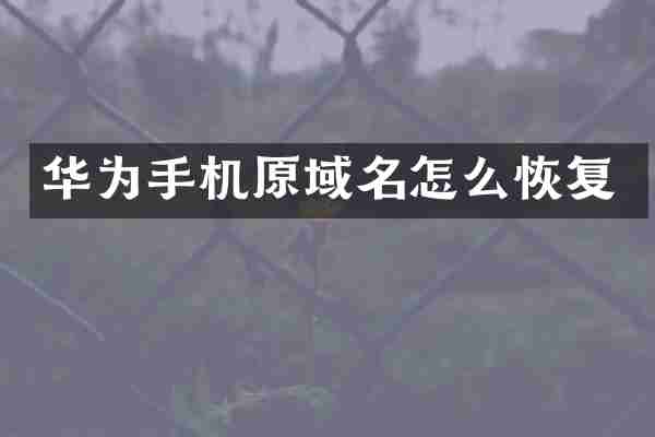 华为手机原域名怎么恢复