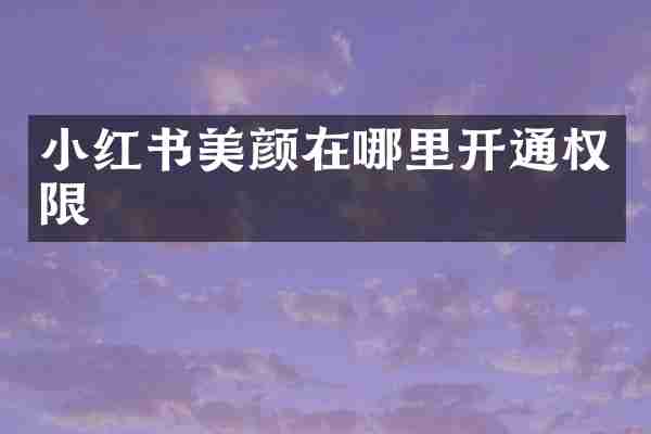 小红书美颜在哪里开通权限