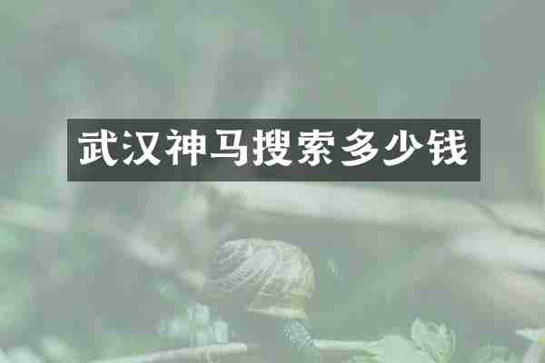 武汉神马搜索多少钱