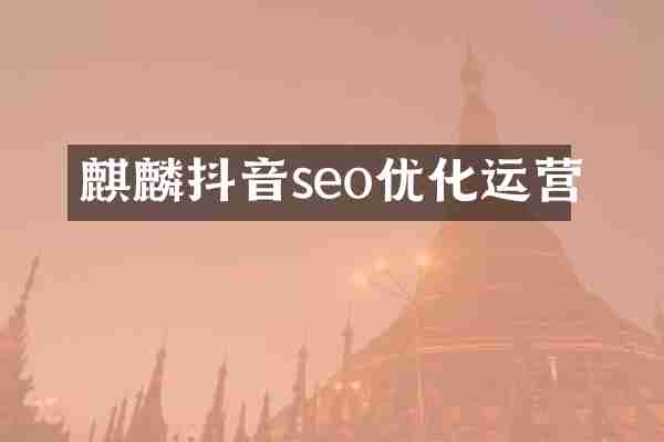 麒麟抖音seo优化运营