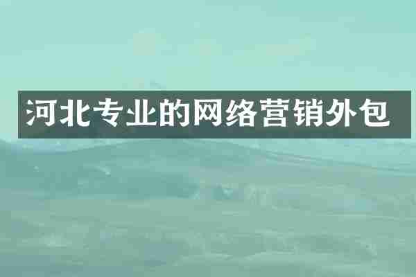 河北专业的网络营销外包