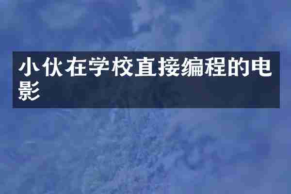 小伙在学校直接编程的电影