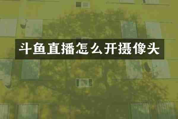 斗鱼直播怎么开摄像头