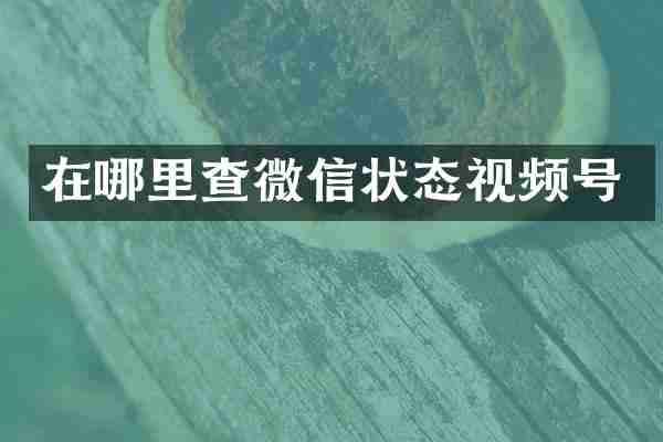 在哪里查微信状态视频号